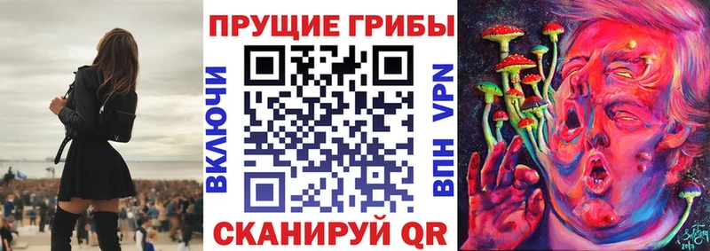 Псилоцибиновые грибы Psilocybe  Купить  Великие Луки 