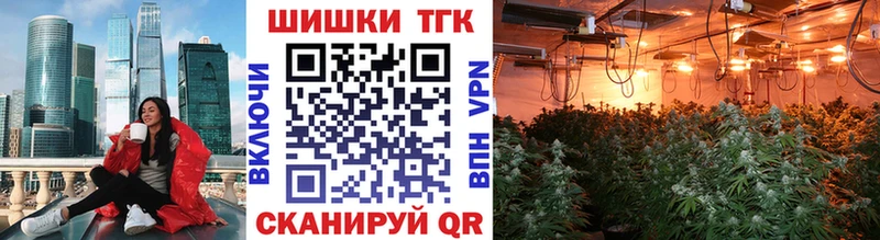 Шишки марихуана Amnesia  Купить закладки  Великие Луки 